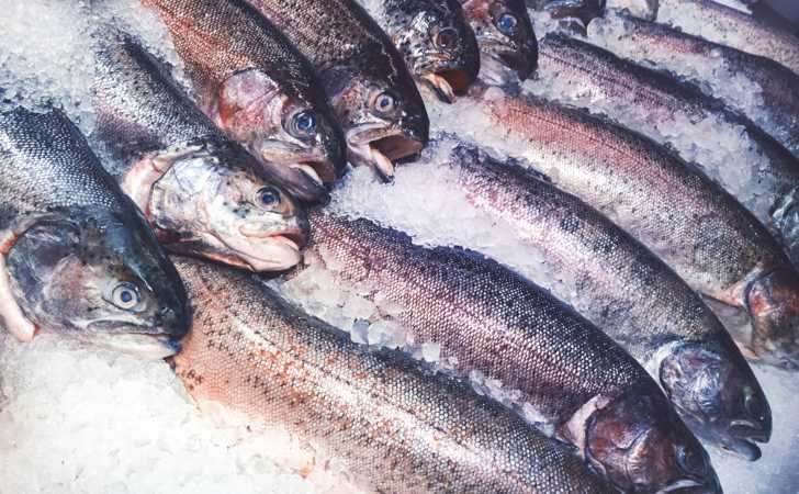 Port Health, IUU Fishing, Fish