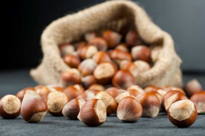 Port Health, Hazelnuts, HRFNAO
